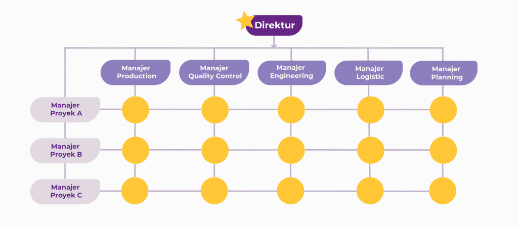 struktur organisasi perusahaan matrik